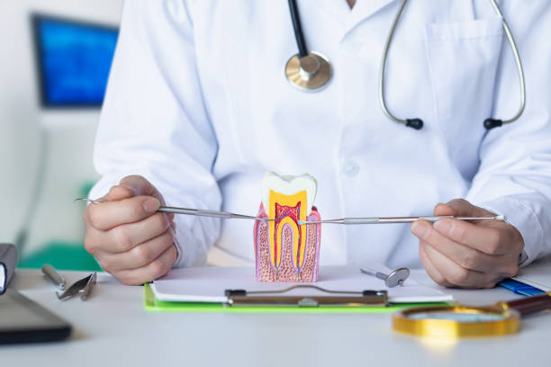 Best Emergency Dental Care for Abscessed Tooth in Urbana, MD